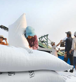 Đến 15/12, Việt Nam đã xuất khẩu gần 5,844 triệu tấn gạo